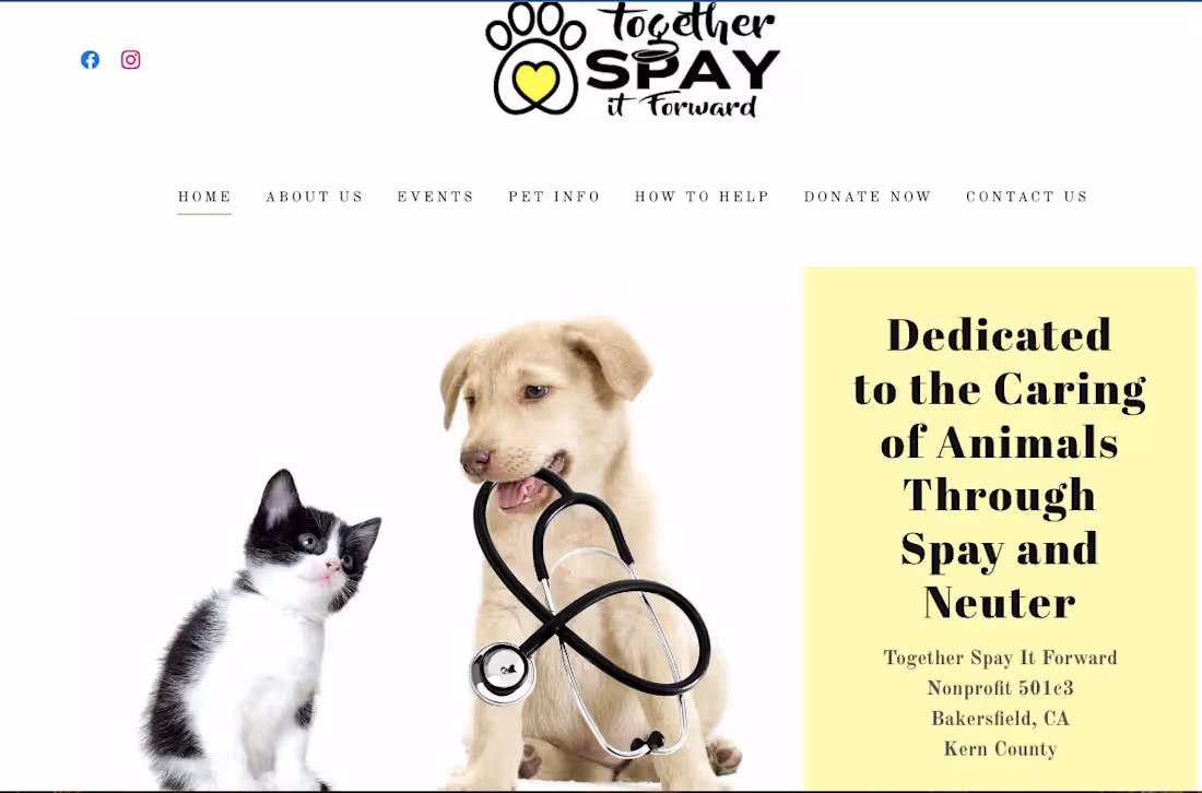 Cover image for Together Spay It Forward- Non-Profit