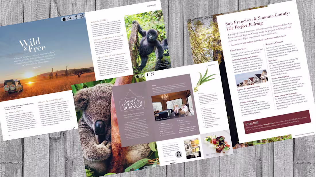 Cover image for Article/content writing