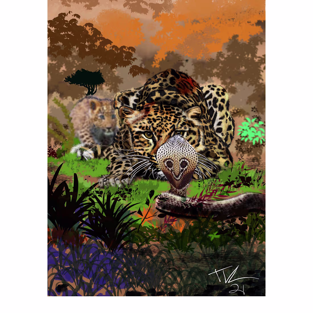 Cover image for Animals / Nature