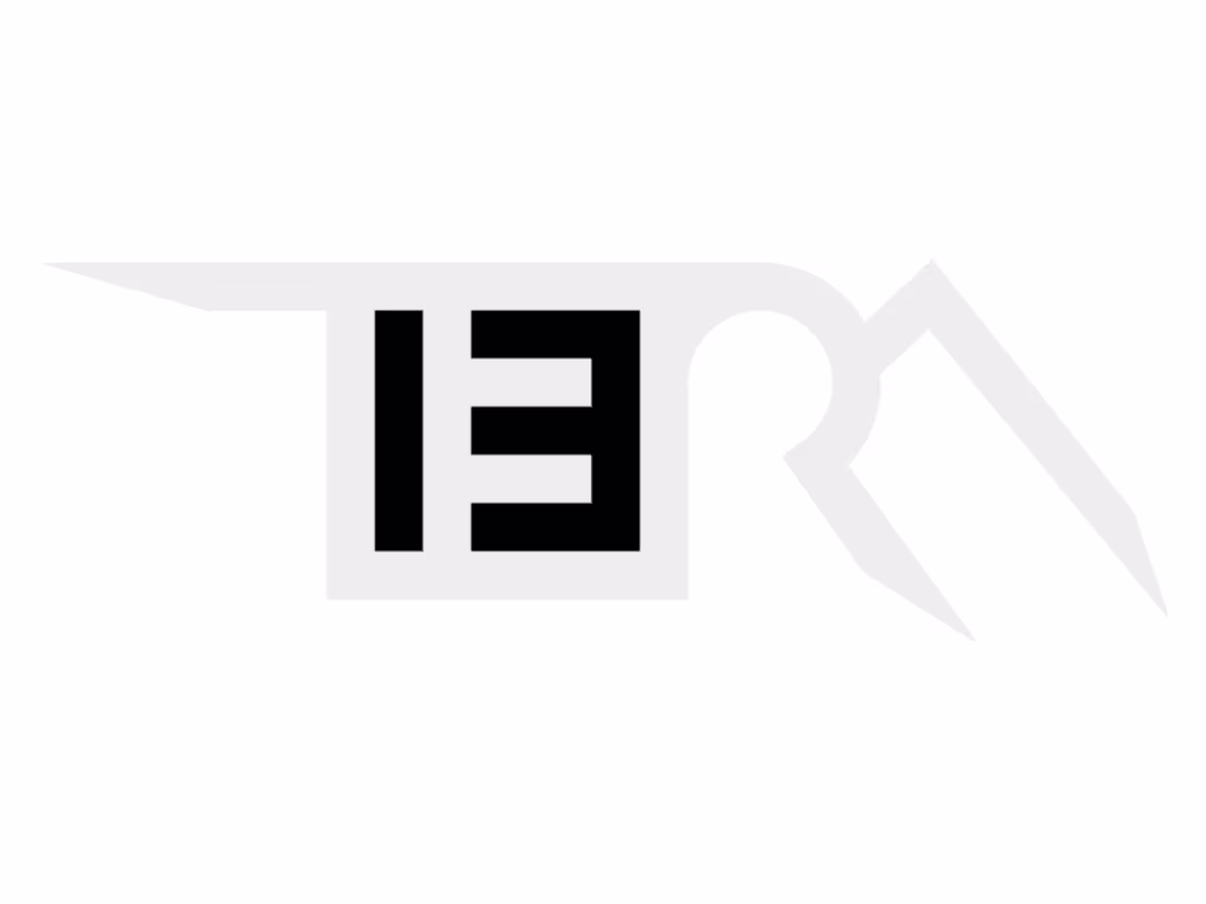 Cover image for TERA