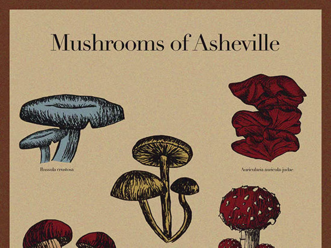 Cover image for Do you need to get the attention of more clients? Posters!