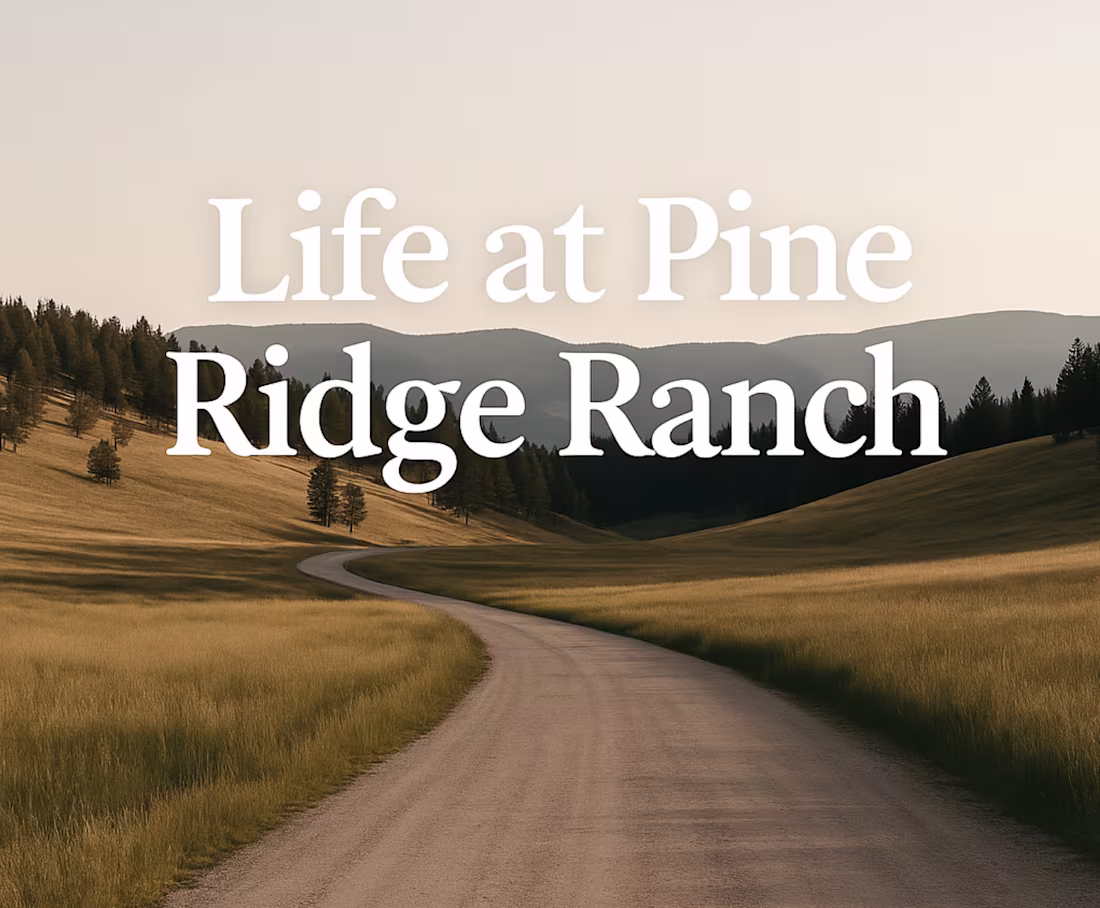 Cover image for Pine Ridge Ranch: Community Website Design + Build