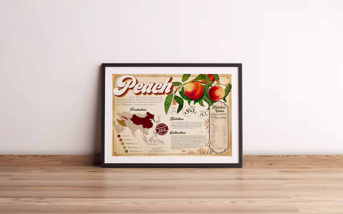 Cover image for Peach Vintage Infographic
