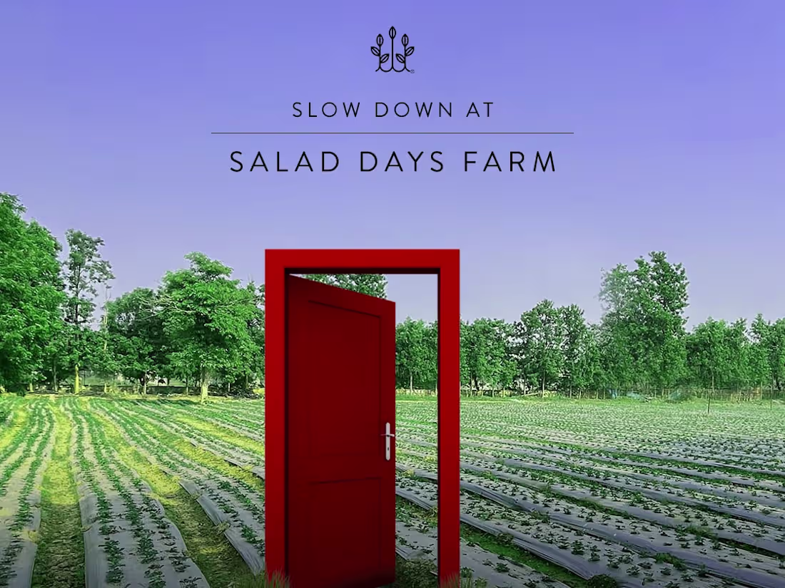 Cover image for Laying the foundation of a community with a social campaign. 