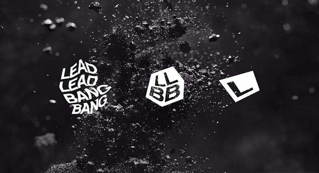 Cover image for LeadLeadBangBang - Branding + Website 