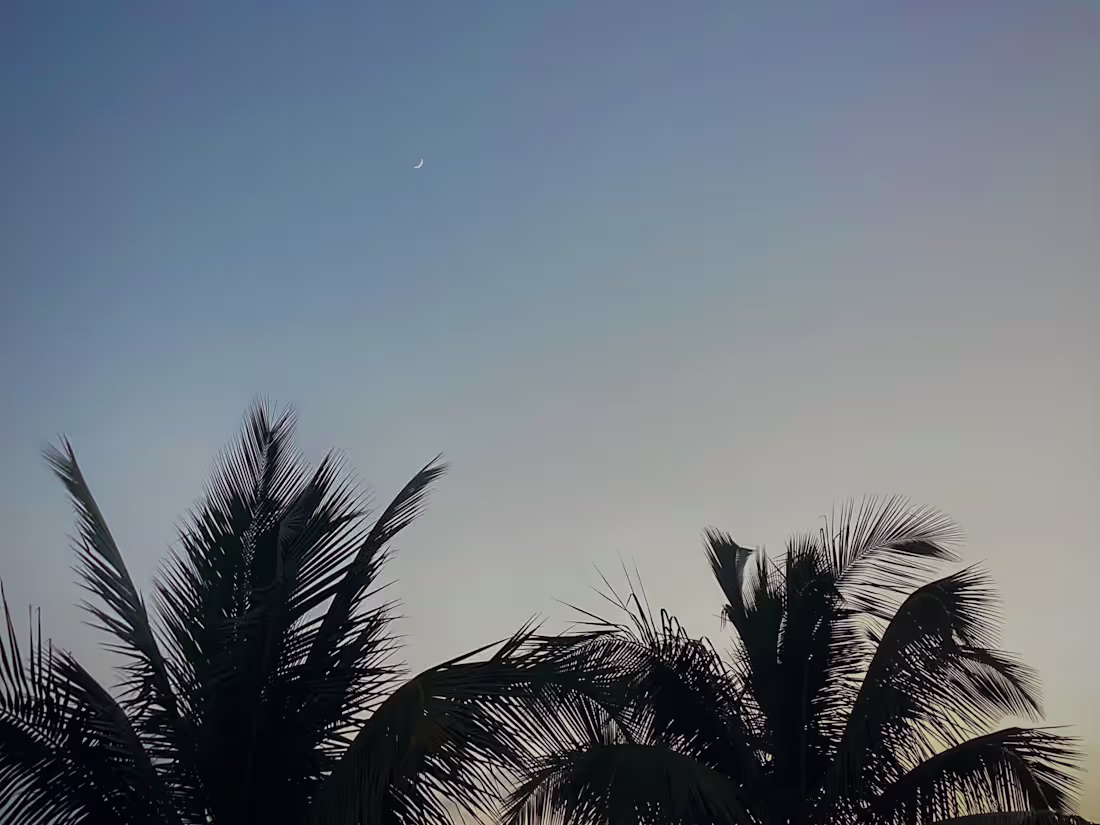 Cover image for Photo editing 