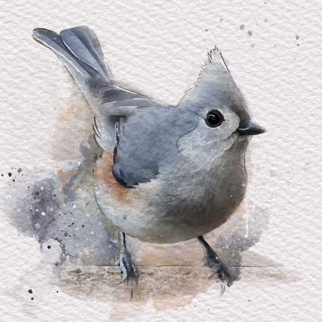 Cover image for Birds - Digital Watercolor Painting:: Behance