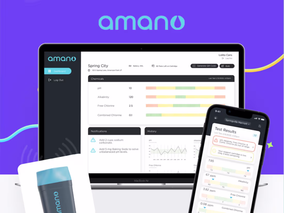 Cover image for Amano