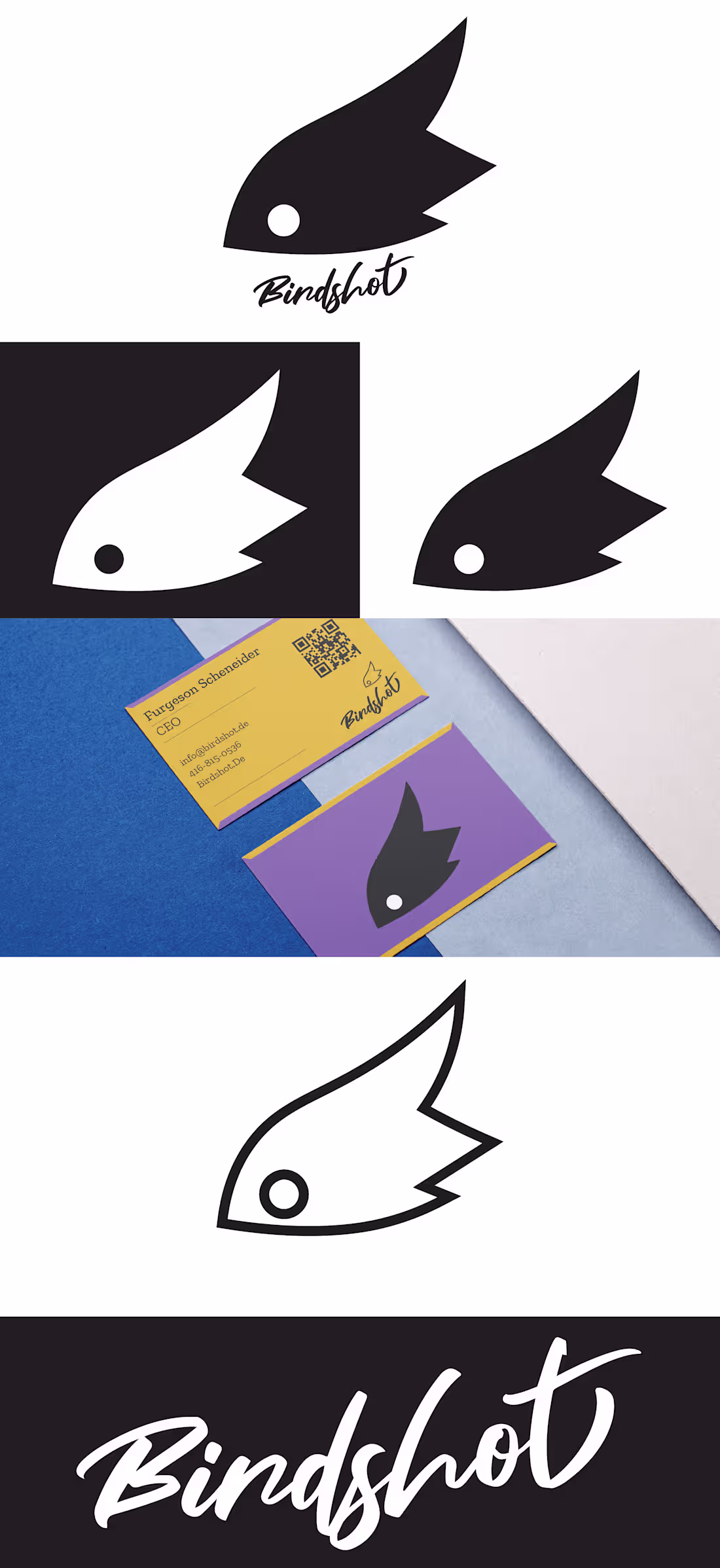 Cover image for Conceptual Logo For Birdshot