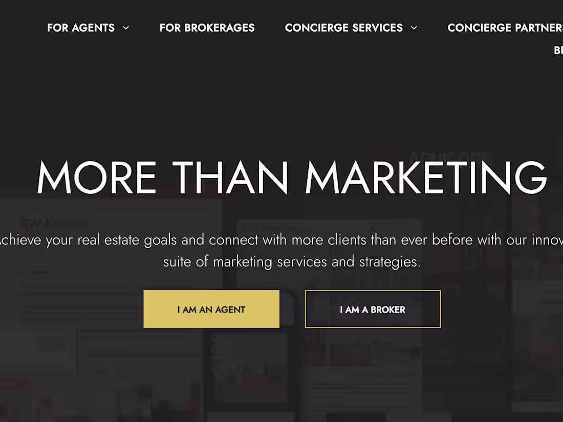 Cover image for Project Management