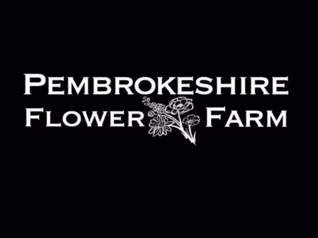 Cover image for Content Strategy Plan