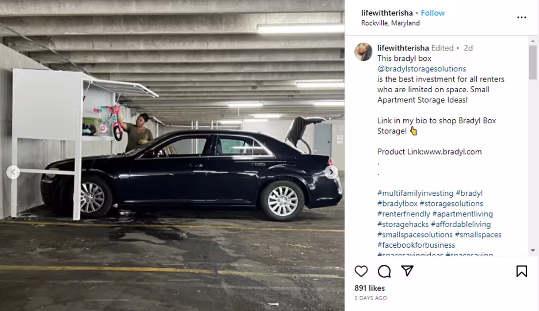 Cover image for Bradyl Box