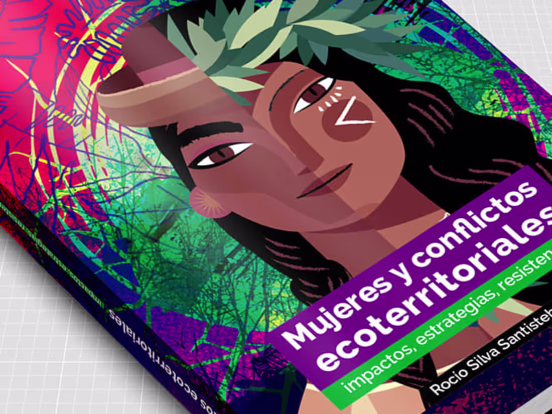 Cover image for Mujeres y conflictos ecoterritoriales Book