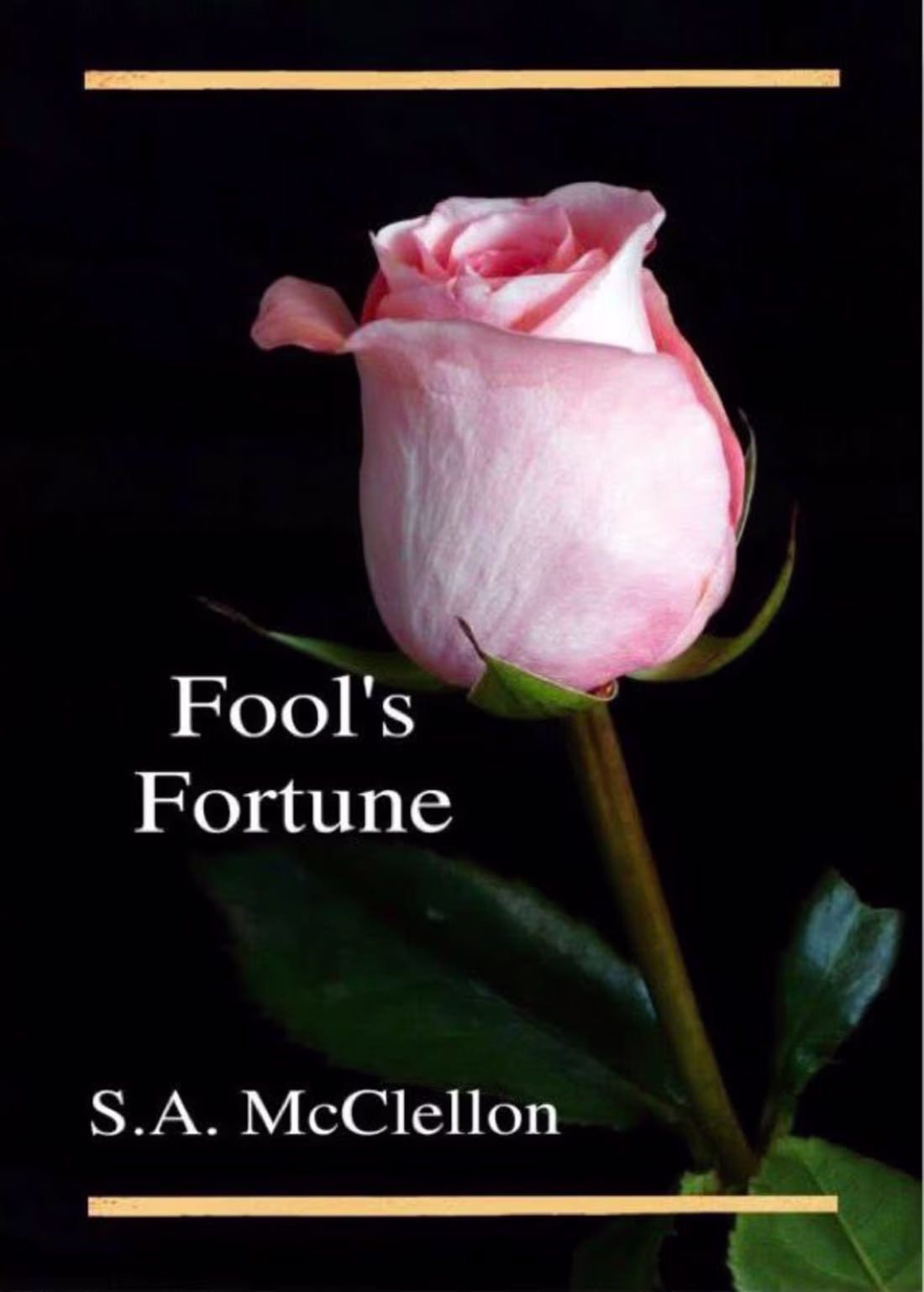 Cover image for Fool's Fortune