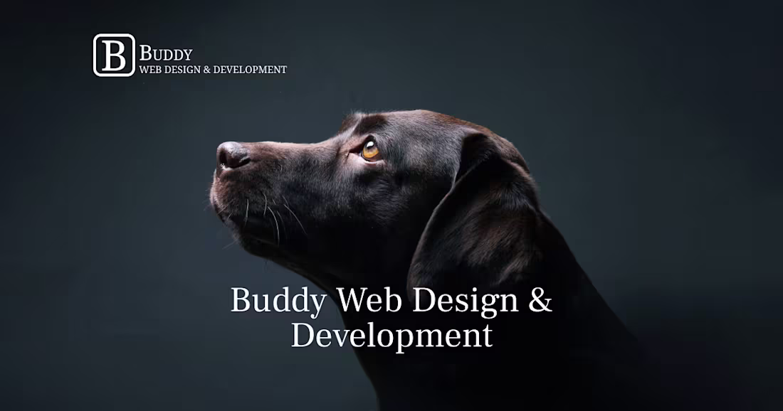 Cover image for Scale Your Business with Proven Web Design Expertise