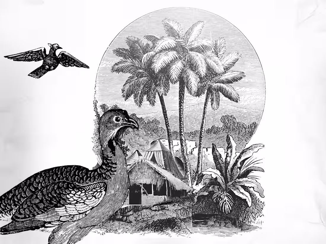 Cover image for Nukak Maku Animation