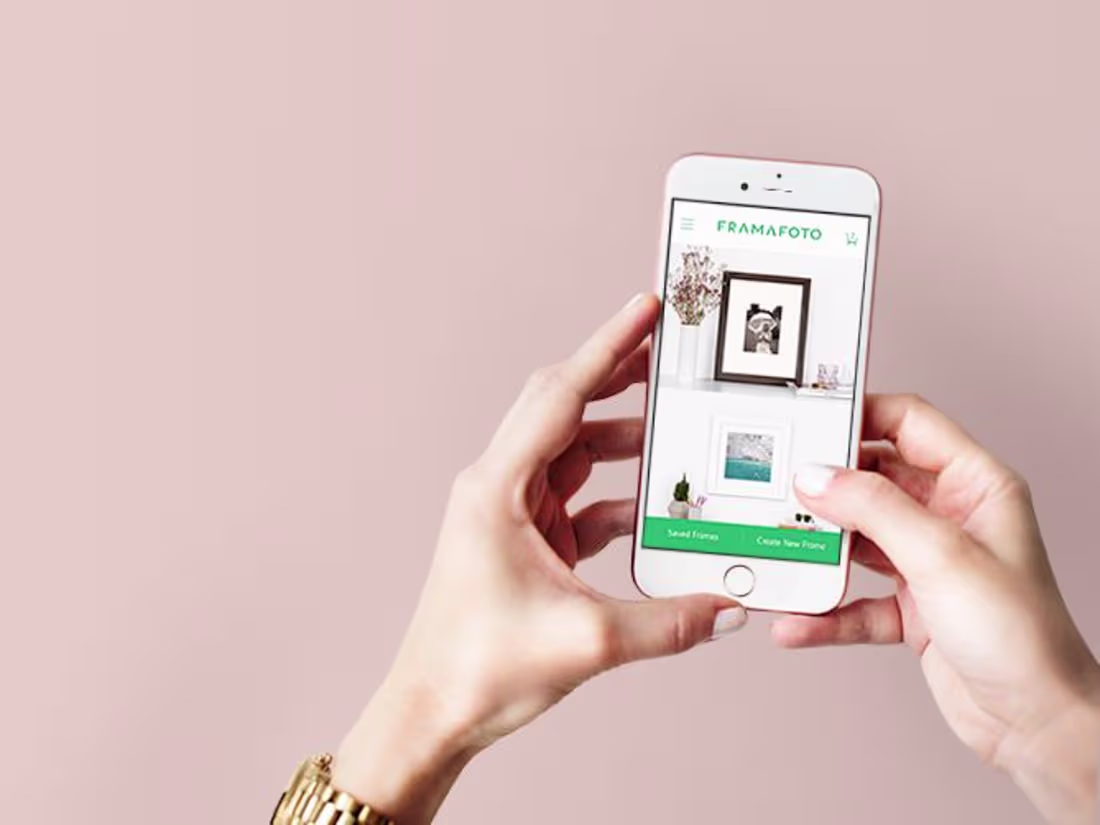 Cover image for Framafoto