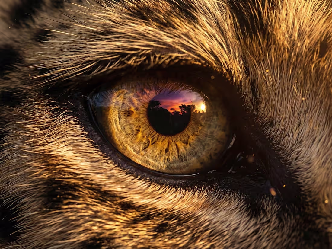 Cover image for High-Impact Cinematic AI Reels