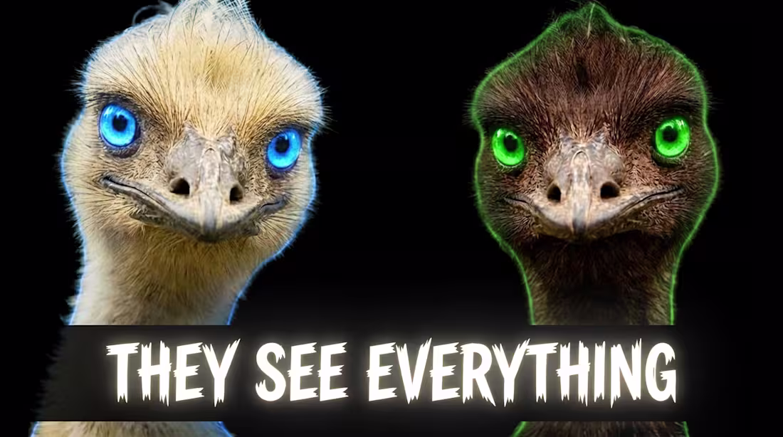 Cover image for Another Thumbnail I made 👀