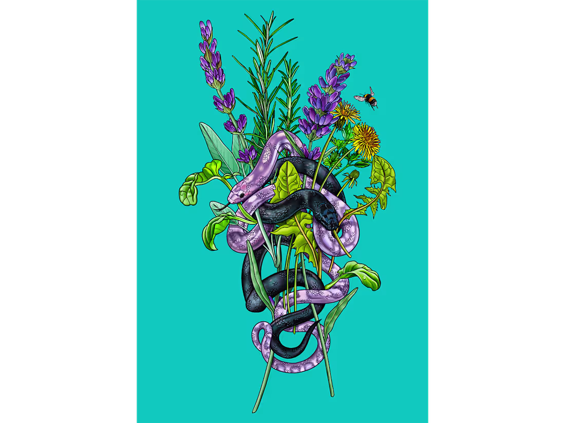 Cover image for Nature's Apothecary Illustration