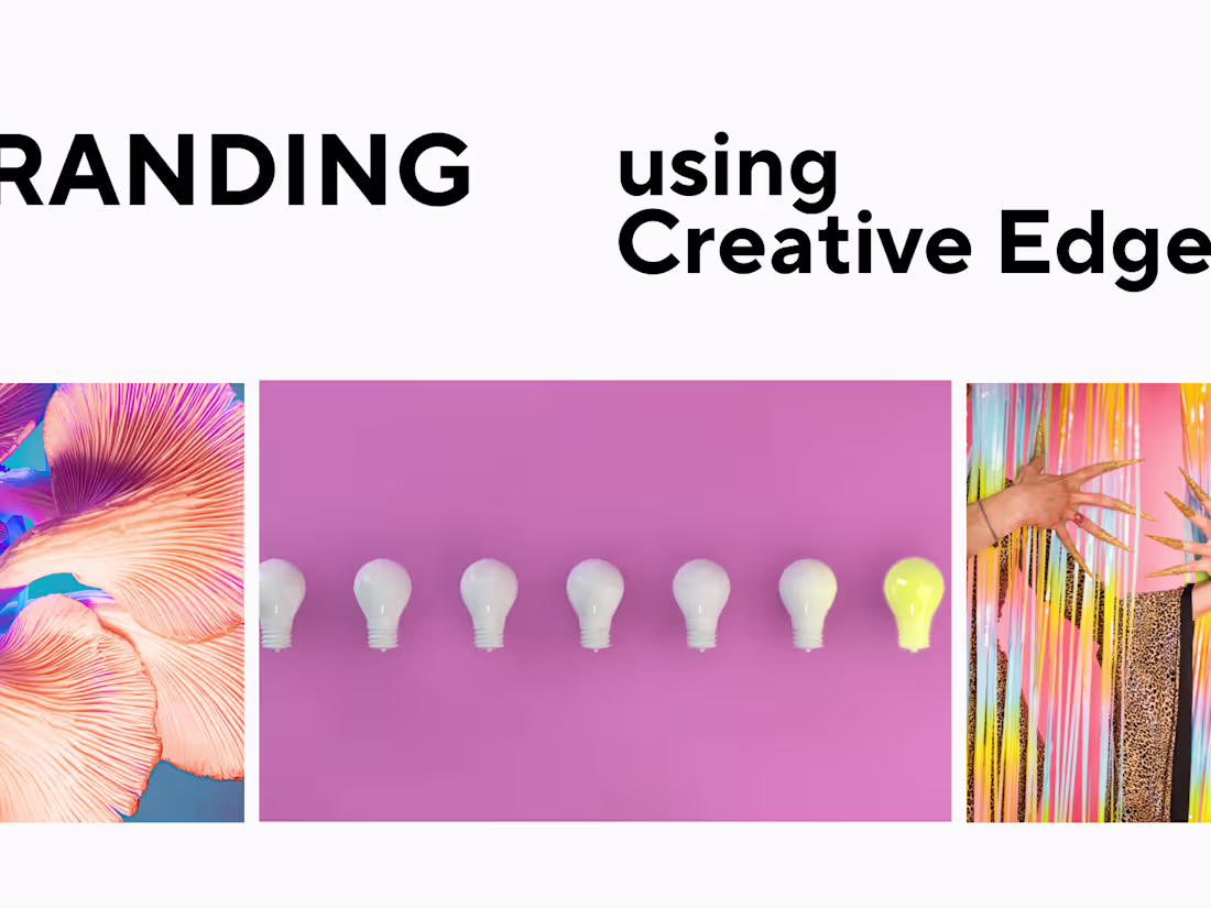 Cover image for Visual Brand Identity and Brand Kit