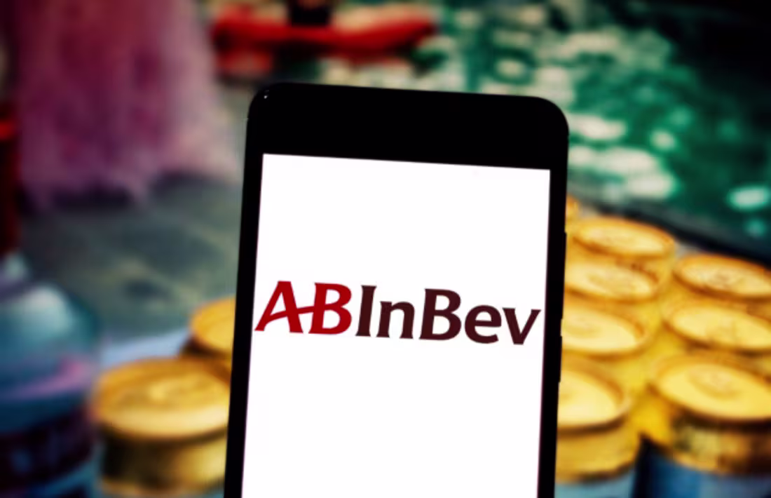 Cover image for ABInBev Systems