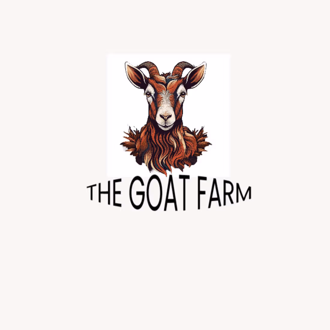 Cover image for logo design and brand designing