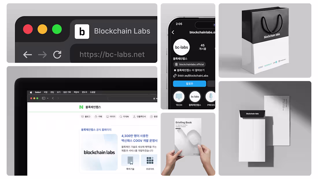 Cover image for Blockchain Labs Rebranding Project