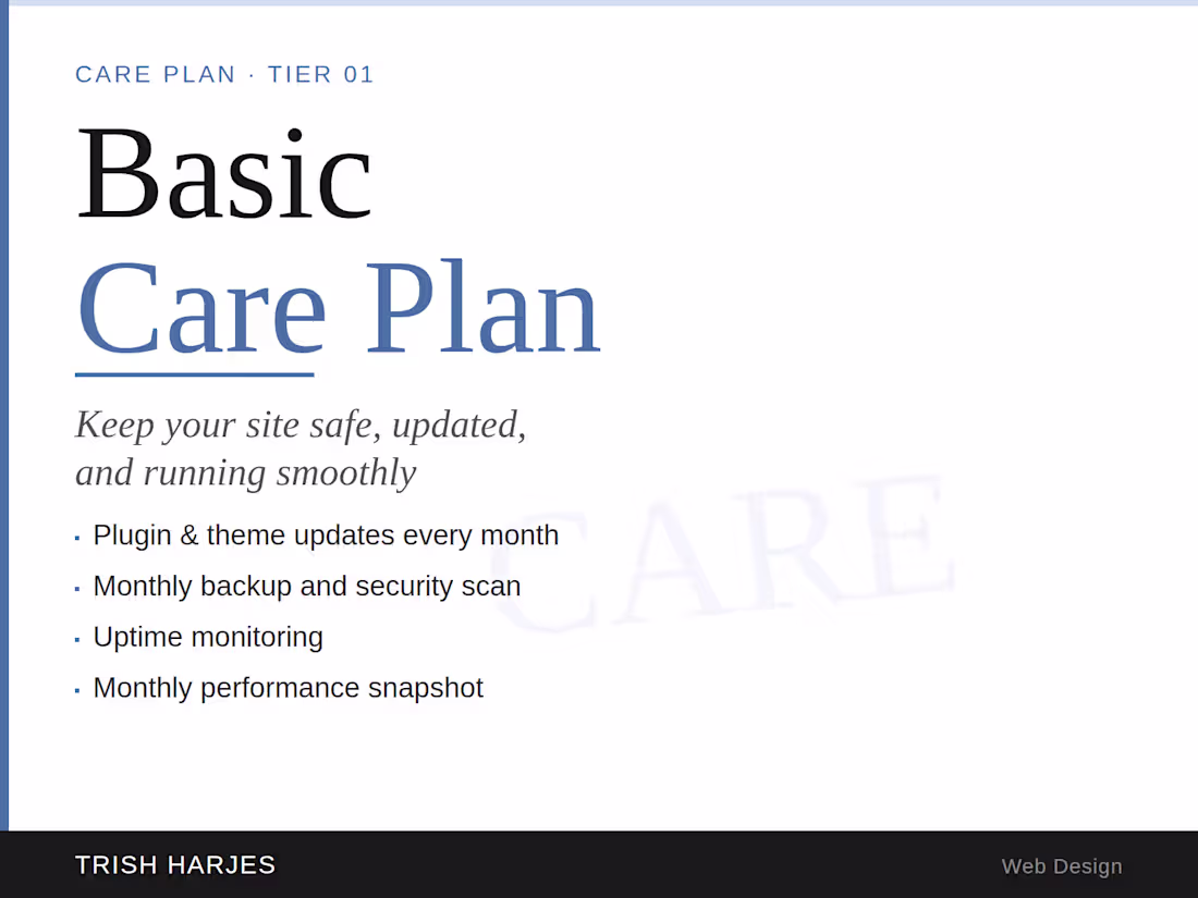 Cover image for Basic Care Plan — Monthly Website Maintenance