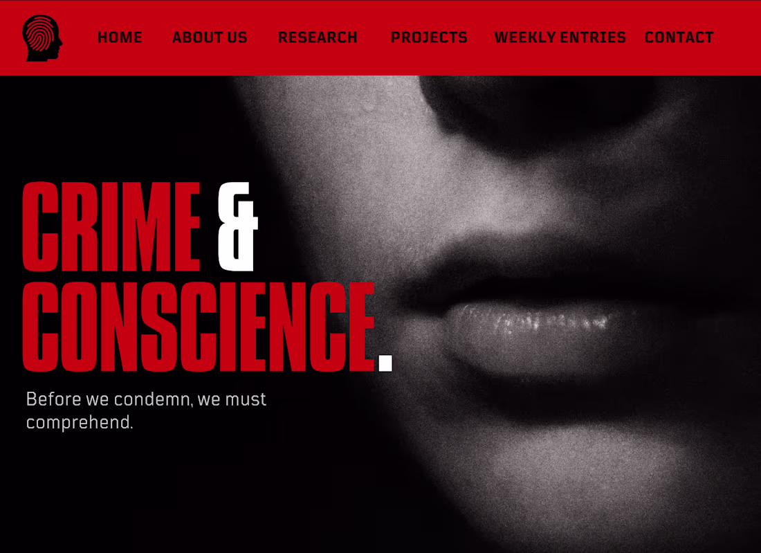 Cover image for Crime and Conscience - Pending Project