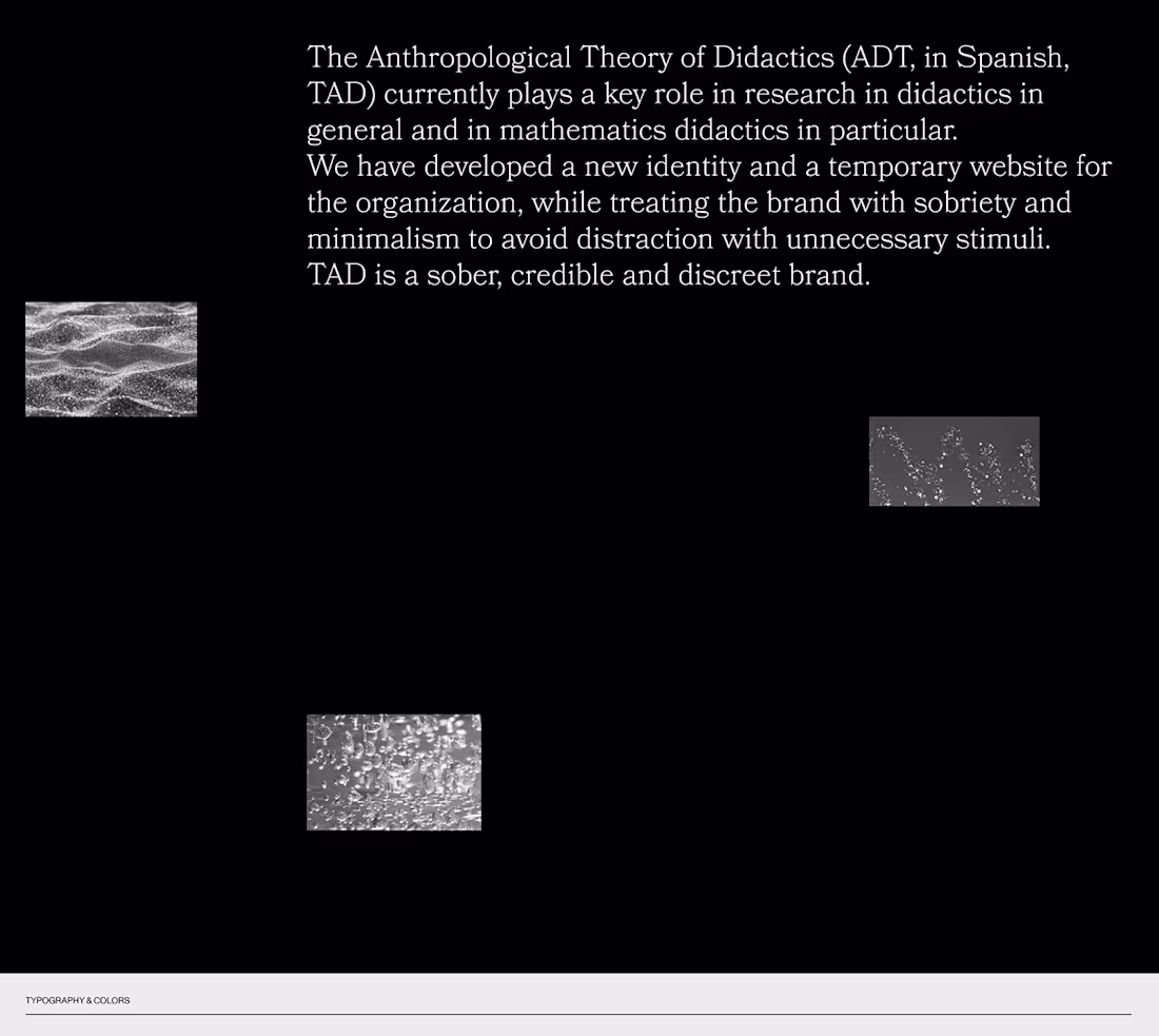 Cover image for Brand Identity & Website design — TAD