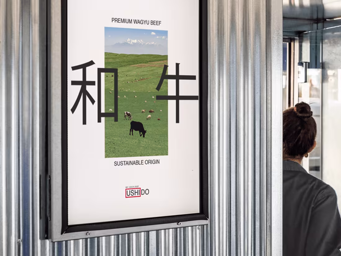 Cover image for Ushido