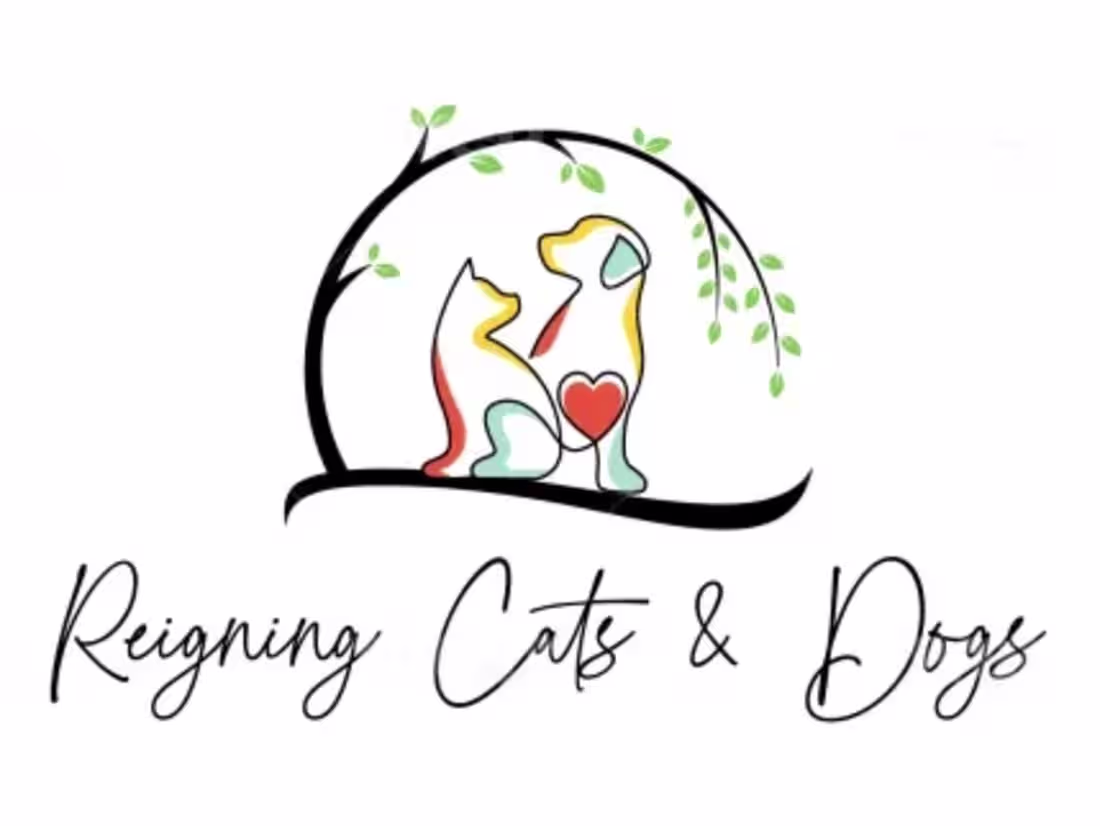 Cover image for Professional Logo Design Services