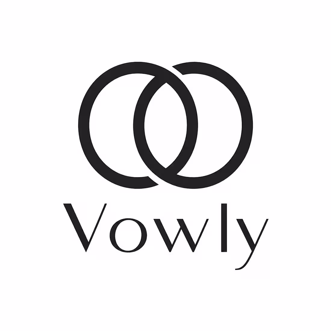 Cover image for Vowly Logo Design - Fictional