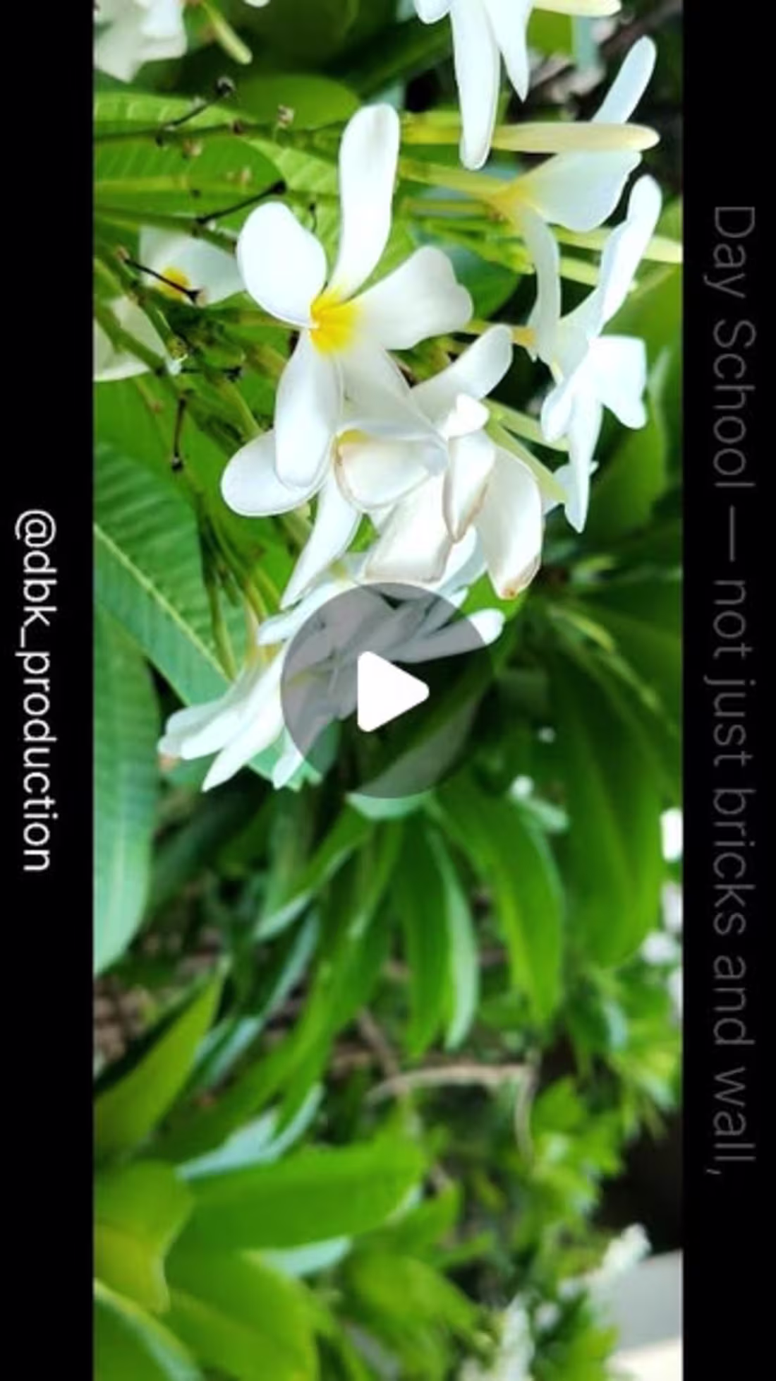 Cover image for Cinematic Shoot for Balbhavan School