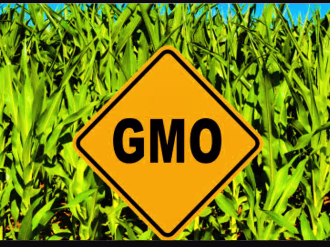 Cover image for Writing Prompt (Content Research)