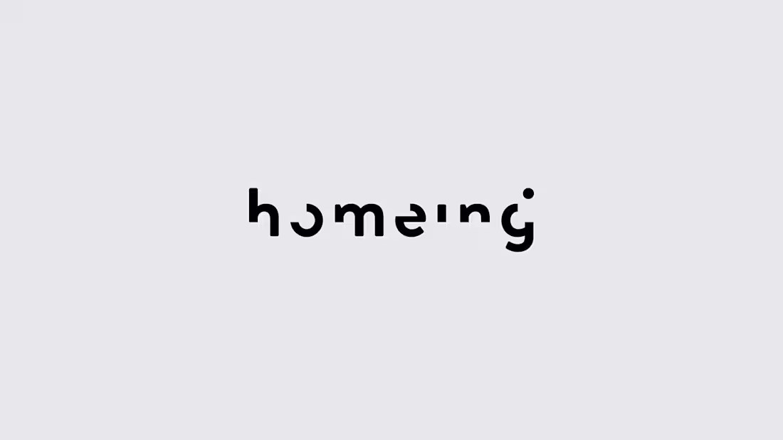Cover image for Visual identity for Homeing project