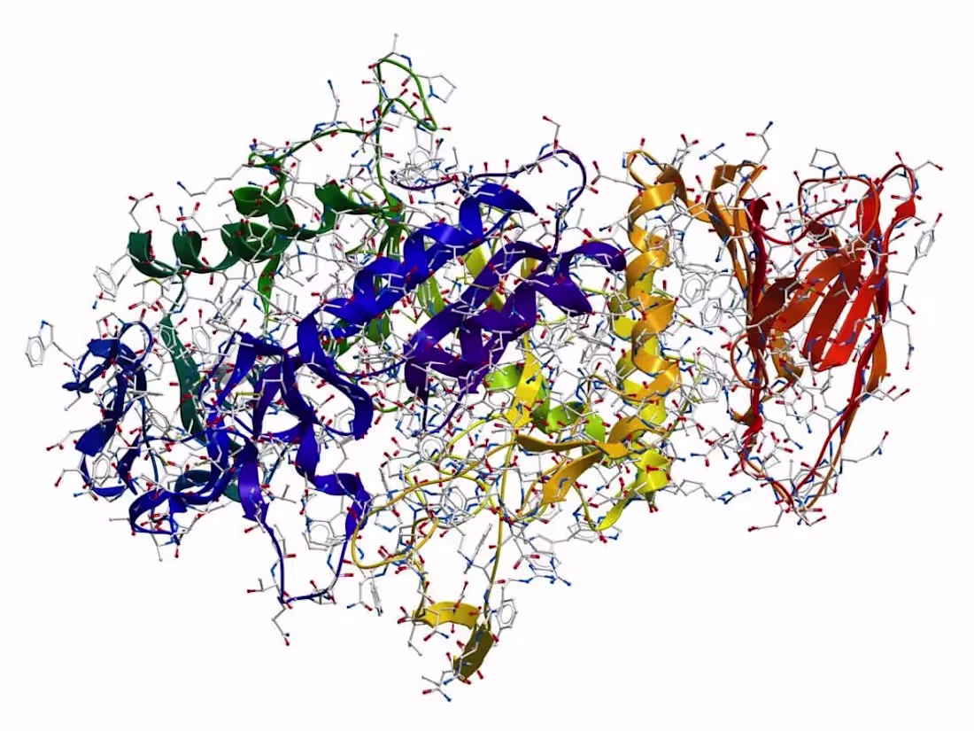 Cover image for Article for students on Enzymes