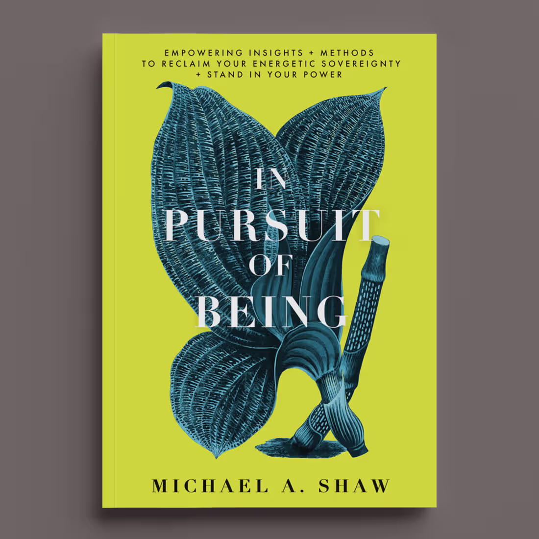 Cover image for Book Sleeve Design