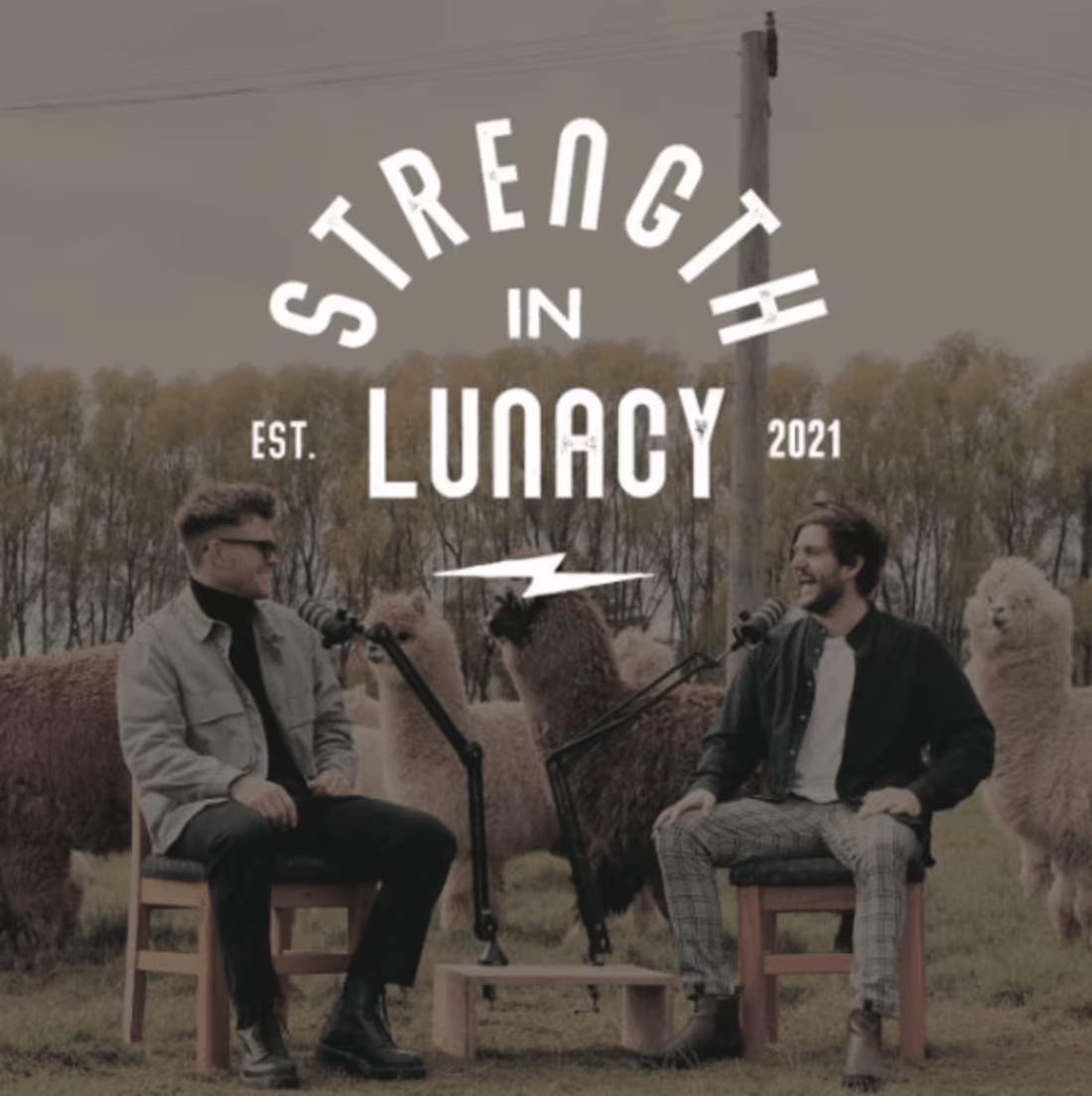 Cover image for Strength In Lunacy
