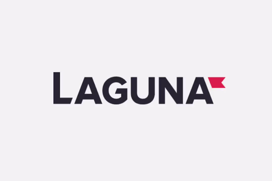 Cover image for Laguna