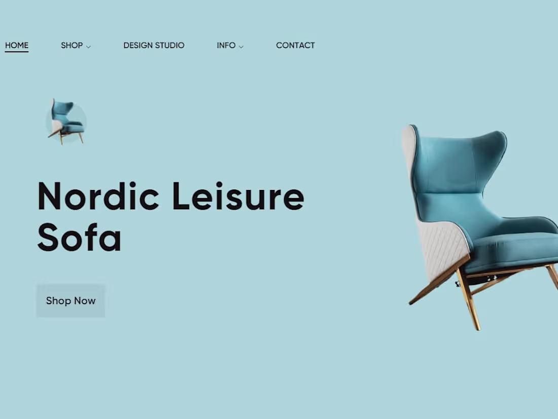 Cover image for Furniture Store