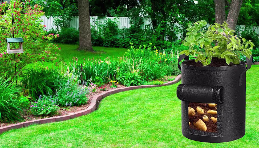 Cover image for Best Grow Bags for Sweet Potatoes: Top 5 Recommended Bags of 20…