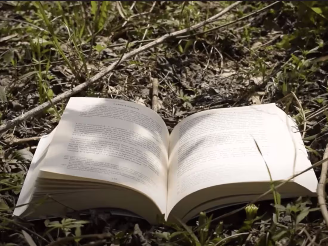 Cover image for Music Video