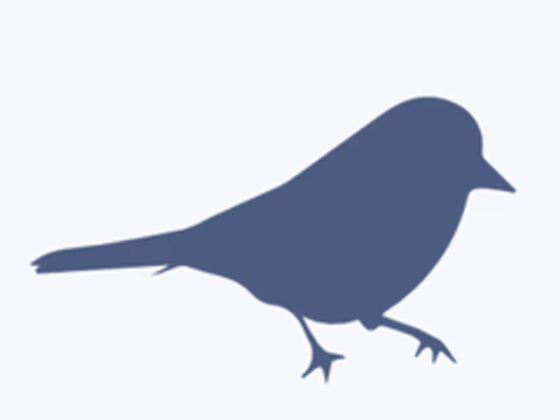 Cover image for Fincheck