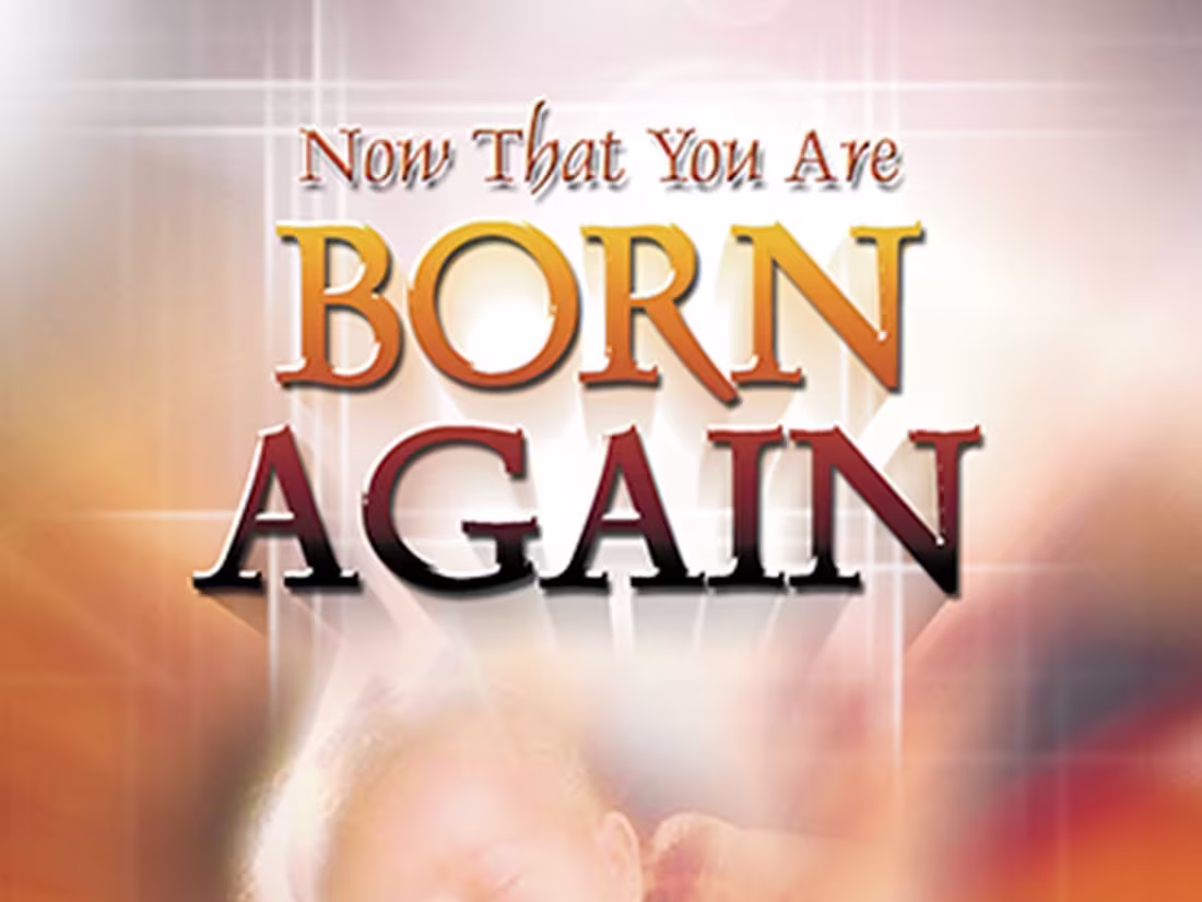 Cover image for Book Translation