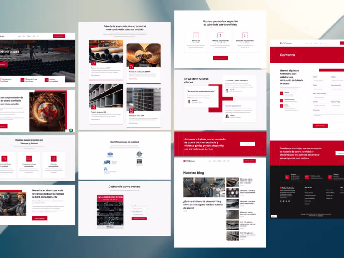 Cover image for Project MMTuberia