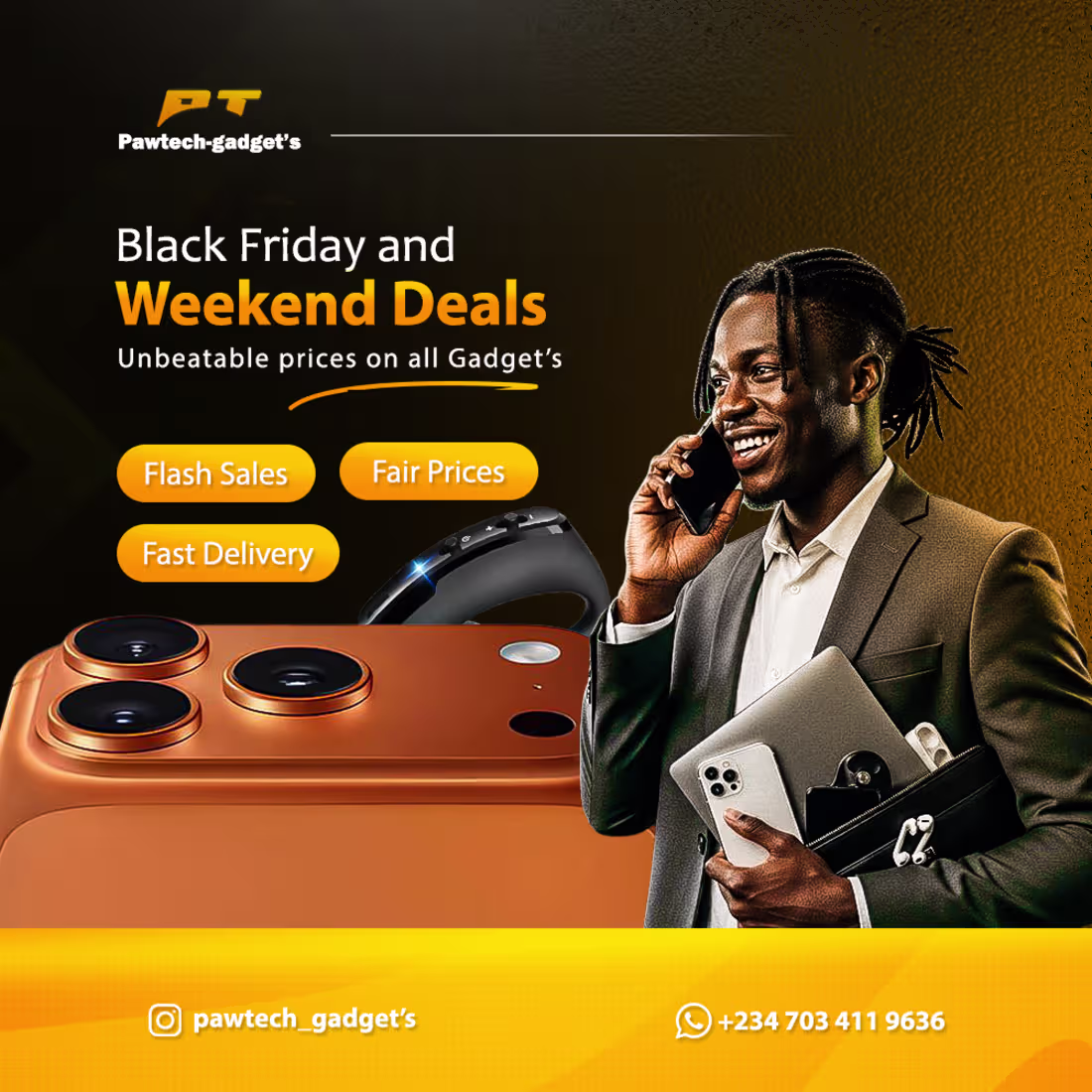 Cover image for The flyer is crafted not