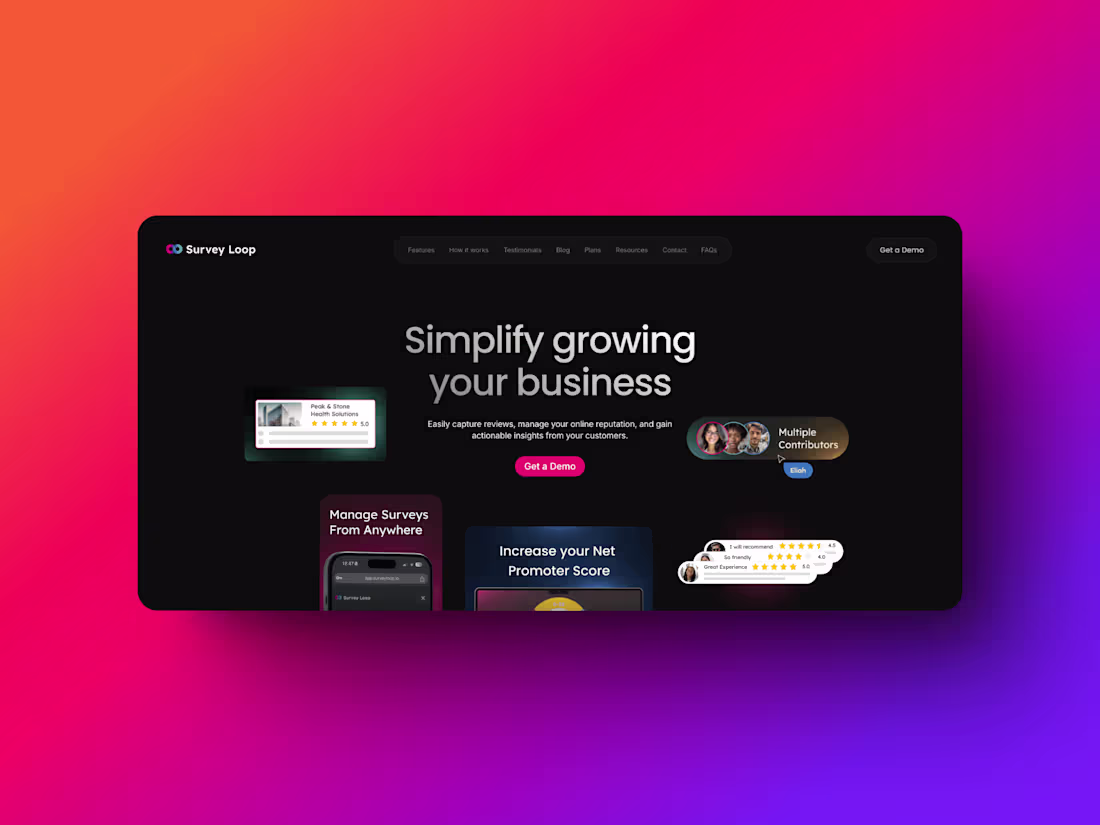 Cover image for Survey Loop