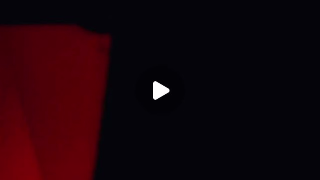 Cover image for Tech Surf Podcast Season 2